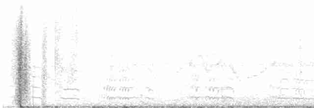 Gallinule d'Amérique - ML413584761