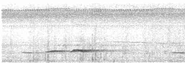 Dusky Long-tailed Cuckoo - ML413627681