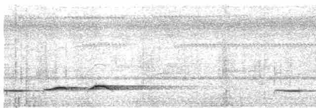 Dusky Long-tailed Cuckoo - ML413627901