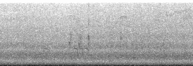 Короткоклювый бекасовидный веретенник - ML41365