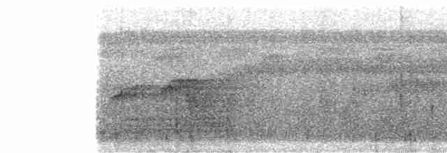 Weißflecken-Ameisenwächter - ML413713031