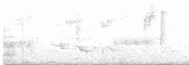 Güneyli Bıyıksız Tiranulet - ML413782851