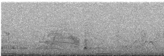 purpurstripehonningeter - ML413847201