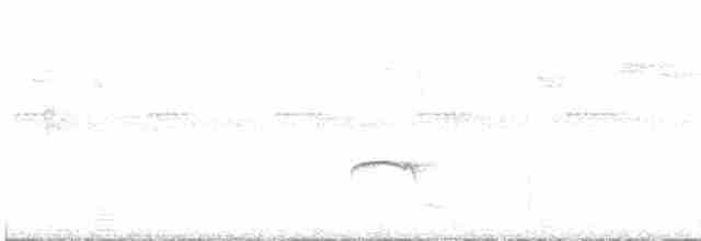 Тиран-малюк омеловий - ML413926031