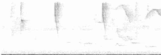 Ерміт-серподзьоб темнохвостий - ML413978531