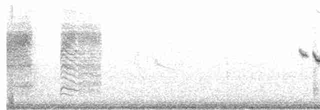 Каньонный крапивник - ML414036341