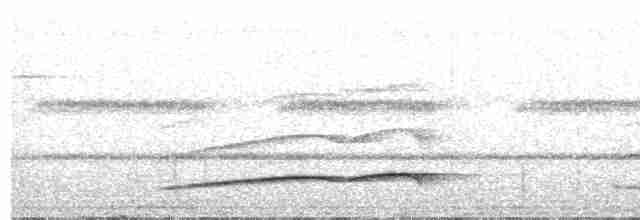 Тиран-плоскодзьоб рудохвостий - ML414194451