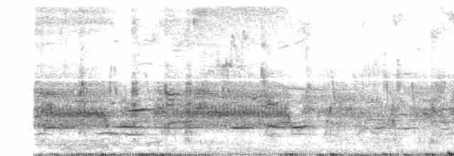 Al Kanatlı Karatavuk (californicus/mailliardorum) - ML414243201