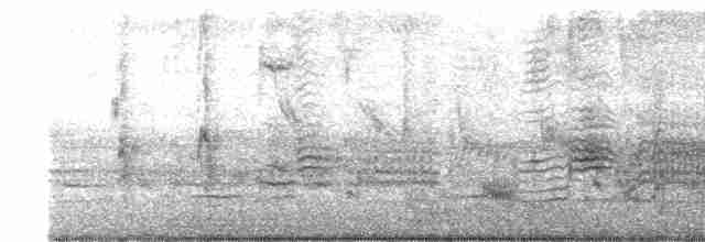 Al Kanatlı Karatavuk (californicus/mailliardorum) - ML414243701