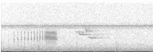 Kestane Taçlı Kotinga - ML414308861