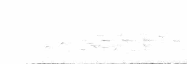 Hawaii-Akepakleidervogel - ML414566721