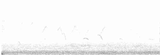 Striated Heron - ML414812011