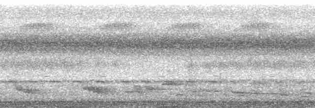 Бюльбюль-довгодзьоб сіроголовий - ML41497