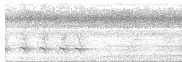 Белохвостый райский зимородок - ML414987081