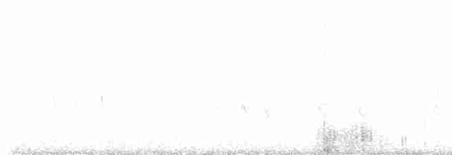 Common Redpoll - ML415049431