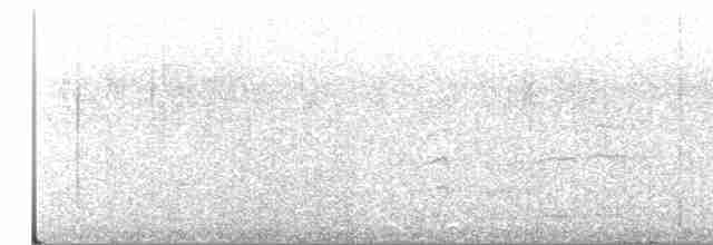 Peregrine Falcon - ML41505001