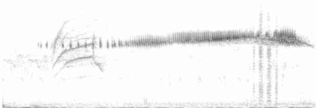Широкохвостый колибри - ML415071281