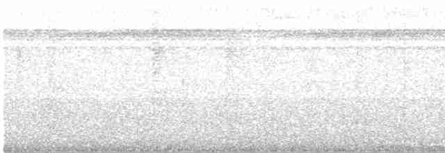 Светлобрюхий колибри-отшельник - ML415077951