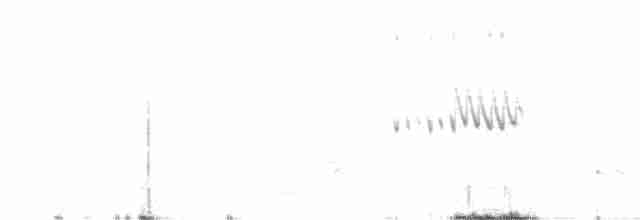 Патагонский пересмешник - ML415126811