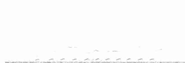 Spotless Crake - ML41518811