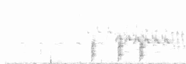 Spotless Crake - ML41518871