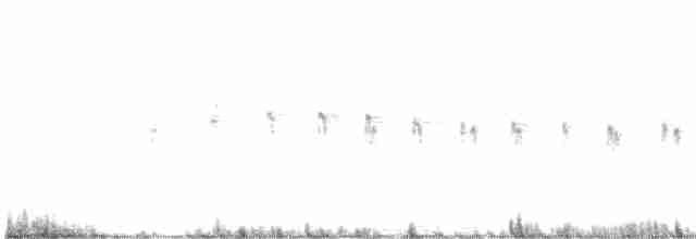 Band-tailed Earthcreeper - ML415194821