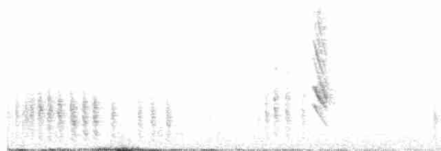 Патагонский курен - ML415245261