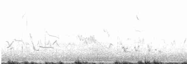 Western Meadowlark - ML415277701