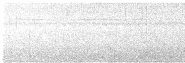Lacivert Kuyruklu Trogon - ML415353331