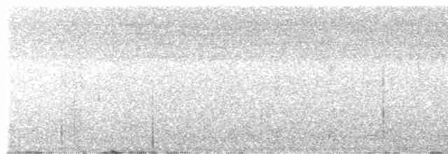 Lacivert Kuyruklu Trogon - ML415353441