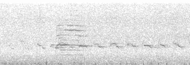 krahujec americký [skupina velox] - ML4154