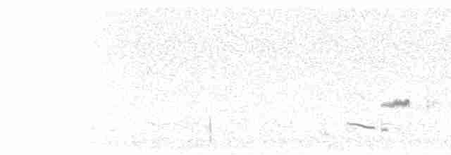 Кактусовый пересмешник - ML415522871