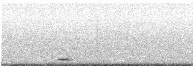 Сичик-горобець гірський [група californicum] - ML415610971