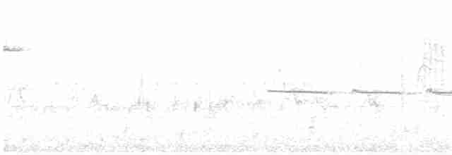Тиранчик-тонкодзьоб північний - ML415635501