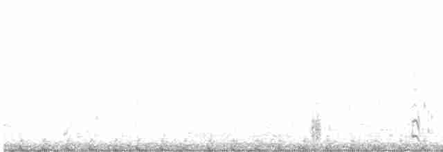 White-cheeked Tern - ML415645051