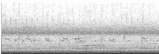Seeregenpfeifer (seebohmi) - ML415770291
