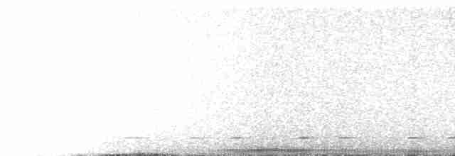 kulíšek mexický (ssp. cobanense) - ML415786191