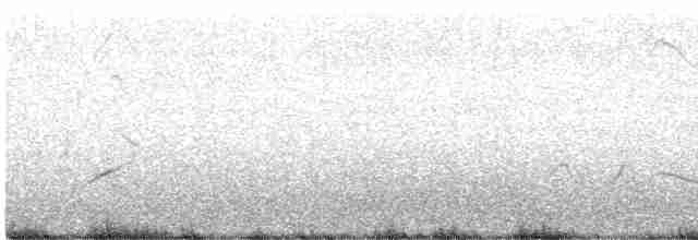 太平洋金斑鴴 - ML415801641