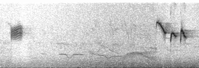 Югина рудочерева - ML41584