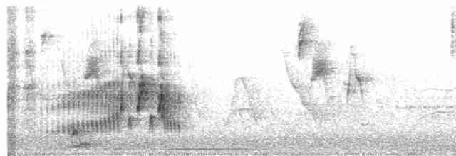 Серогрудый трескунчик - ML41586561