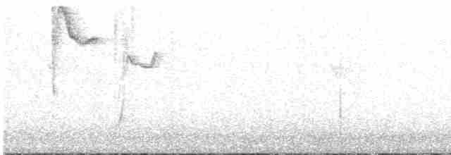 White-eared Ground-Sparrow - ML415931551