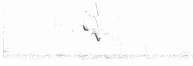 Alouette hausse-col (groupe chrysolaema) - ML415957381