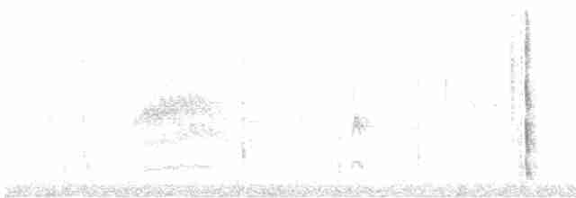 strakapoud proužkohřbetý - ML415971571