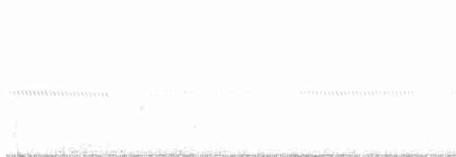 Приморская овсянка-барсучок (mirabilis) - ML416174691