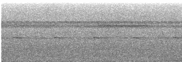 Lattice-tailed Trogon - ML416259831