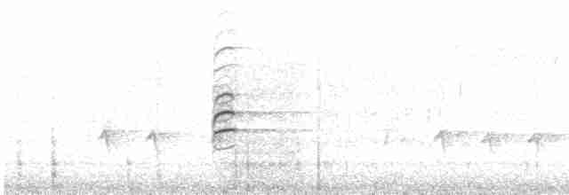 křivka bělokřídlá - ML416286791