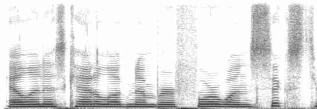 Diard Trogonu - ML41636
