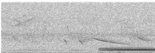 holub skvrnokřídlý - ML416541821