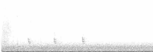 Münzevi Bülbül Ardıcı - ML416549331