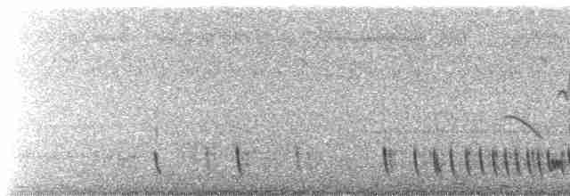Indian Nightjar - ML416931211